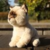 Plyšová kočka ragdoll 23 cm ECO-FRIENDLY SOFT