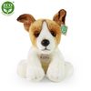 Plyšový pes jack russell teriér sedící 30 cm