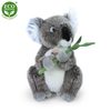 Plyšová koala 30 cm