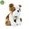 Plyšový pes bulldog 30 cm