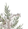 Vánoční zápich s šípky a dřevěnou hvězdou glitter 30 cm - bílý