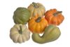 Umělá dýně 6 ks - podzimní MIX