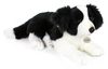 PLYŠ Pes Border Kolie 45cm ležící