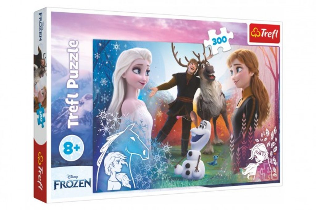 Puzzle Ledové království/Frozen 300dílků 60x40cm v krabici 40x27x4cm
