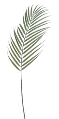 Umělý palmový list 71 cm - šedozelená
