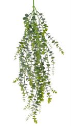 Převis eukalyptus 85 cm - zelená