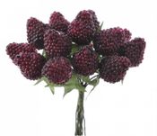 Maliny větší 12 ks tmavá červená