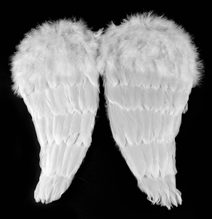 KARNEVAL Křídla andělská s peřím 48cm *KARNEVALOVÝ DOPLNĚK*