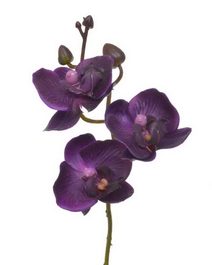 Umělá orchidej - švestková 20 cm