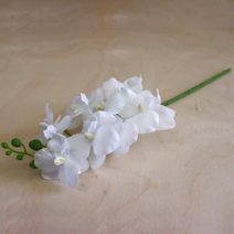 Umělá orchidej bílá 371251-01 - 10 x 5 x 38 cm