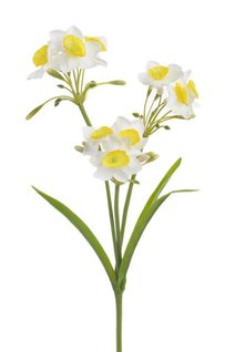 Umělá rostlina narcis trs - bílá 30 cm