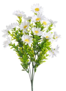 Trs mini kopretin - bílá