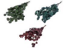 Stabilizovaný eukalyptus svazek