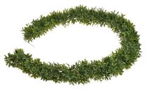 Umělá girlanda ruscus 150 cm - zelená