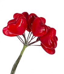 Lakovaná srdíčka na drátku 12 ks červená