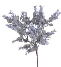 Trs eukalyptus zaprášený - šedá