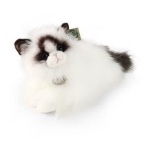 Plyšová kočka ragdoll ležící 35 cm