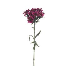 Hvozdík 55 cm X6858-09