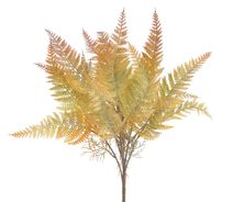 Kapradina trs 43 cm - zelená/oranžová