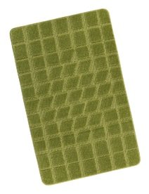 STANDARD 60x100 cm zelený mech