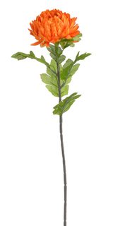 Chryzantéma 58 cm - oranžová