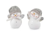 Sněhulák s křídly