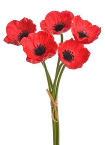 Umělý vlčí mák 5 kusů červená