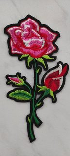 Nažehlovačka růže