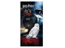 Osuška Harry Potter "Hedwig" 70x140 cm