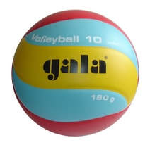 Volejbalový míč Volleyball 10
