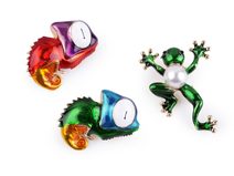Brož žába, chameleon