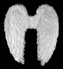 KARNEVAL Křídla andělská s peřím 55cm *KARNEVALOVÝ DOPLNĚK*