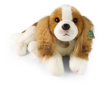 PLYŠ Pes King Charles špaň. *PLYŠOVÉ HRAČKY*