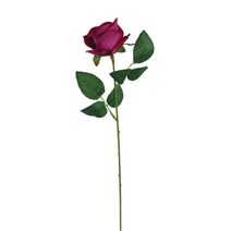 Růže bordó X5791-09 - dia 7 x 4,5 / 50 cm