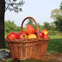 Koš ovál s pletýnkou 054100