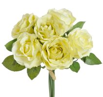 Růže 7 cm (6 ks) - žlutá s nádechem do zelena 25 cm