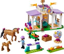 LEGO FRIENDS Výcvik koní 41746