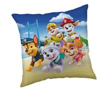 Polštářek Paw Patrol Bridge 40x40 cm