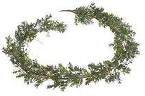 Rostlina girlanda buxus 180 cm - zelená