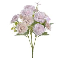 Karafiáty trs 30 cm - růžová