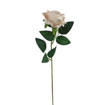 Růže krémová X5791-26 - dia 7 x 4,5 /50 cm