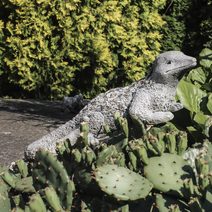 Dekorace ještěr X3226 - 52 x 25 x 17 cm