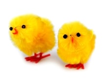 Velikonoční dekorace kuře sada 12 kusů