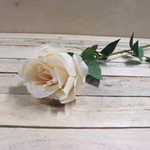 Umělá růže krémová 371238-26 - dia 8 x 6 / 75 cm