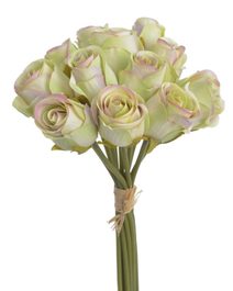Růže svazek 12 ks - krémově zelená