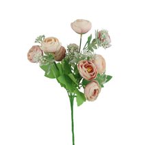 Pryskyřník X6947-05