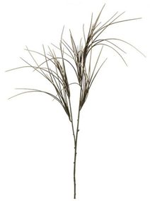 Okrasná tráva X6846-26 - 104 cm