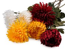 Umělá chryzantéma