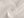 Organza s leskem