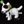 Plyšový pes anglický bulteriér s obojkem stojící, 23 cm
